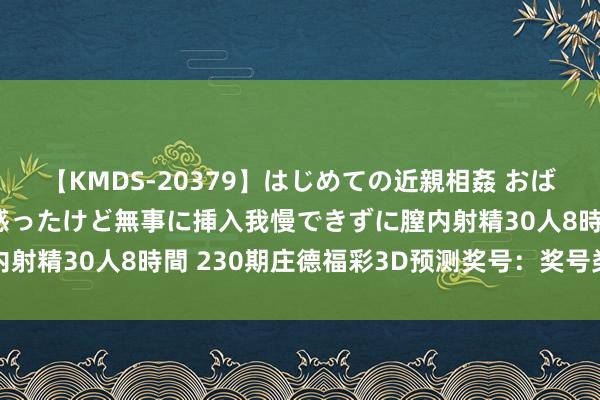 【KMDS-20379】はじめての近親相姦 おばさんの誘いに最初は戸惑ったけど無事に挿入我慢できずに膣内射精30人8時間 230期庄德福彩3D预测奖号：奖号类型判断