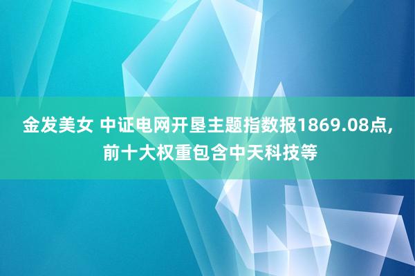 金发美女 中证电网开垦主题指数报1869.08点， 前十大权重包含中天科技等