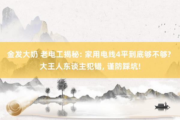 金发大奶 老电工揭秘: 家用电线4平到底够不够? 大王人东谈主犯错， 谨防踩坑!