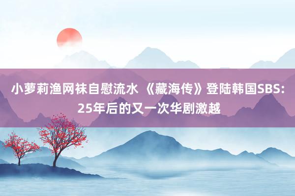 小萝莉渔网袜自慰流水 《藏海传》登陆韩国SBS: 25年后的又一次华剧激越
